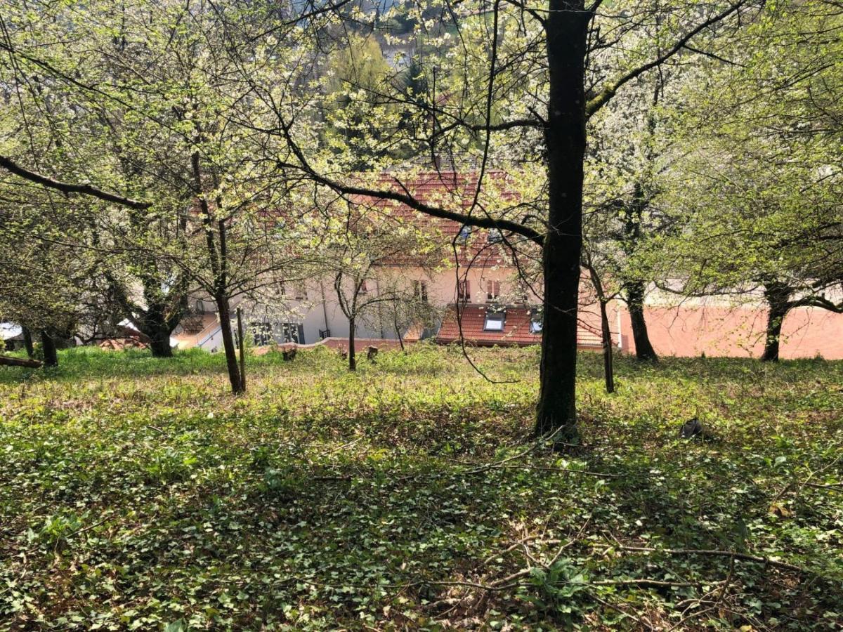 Apartamento Trasse Belge Trassem Exterior foto